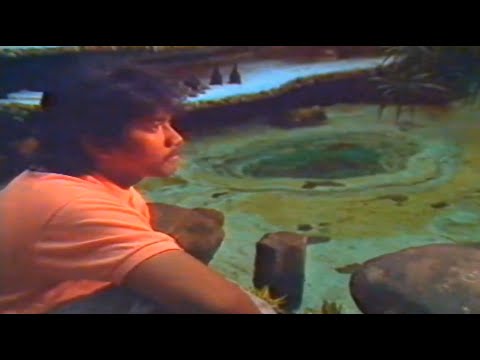 Jamal Mirdad - Jamilah (Official Music Video)