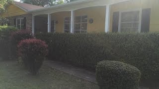 24581 GREENVIEW DR video tour