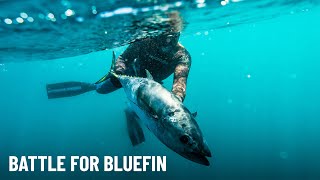 Battle for Bluefin Tuna - South Seas Spearfishing
