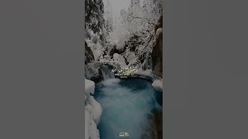القران الكريم 575