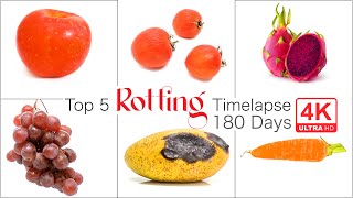 Top 5 Rotting Timelapse 180 Days