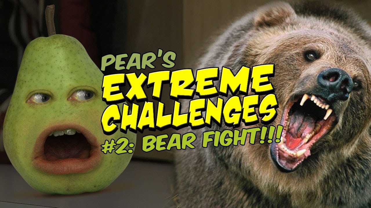 Pear's Extreme Challenge #2: BEAR FIGHT!