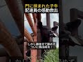 門に挟まれた子牛配達員の感動救出