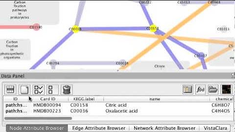 Exploring KEGG global metabolic pathway using Cytoscape