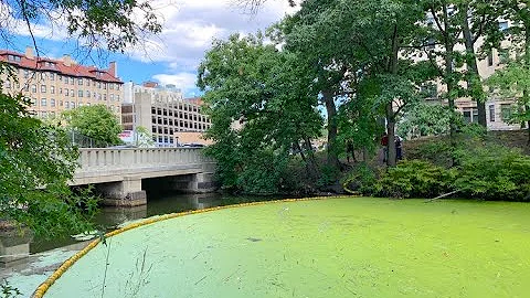Webinar: Clean Water, Green Space, and Social Equity