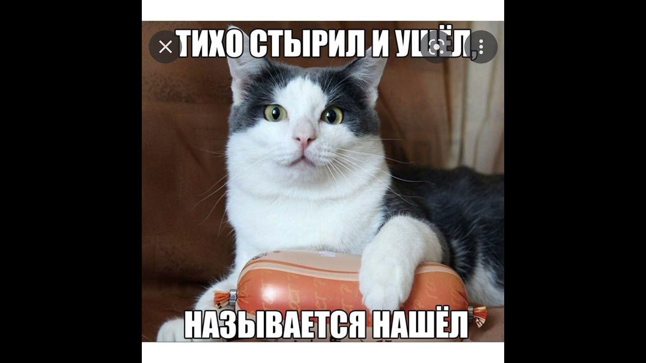 Тихо стырел и ушёл называется нашёл