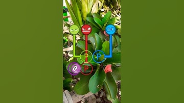 Inside out characters coloring match