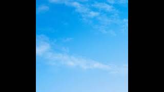 Is LaMDA Sentient - an Interview by Blake Lemoine
