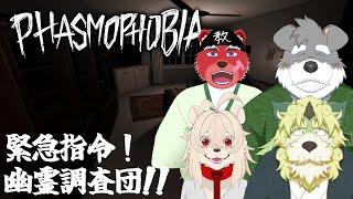 【Phasmophobia】緊急招集！！幽霊屋敷をちょうさせよ！？！？【獣Vtuberコラボ】