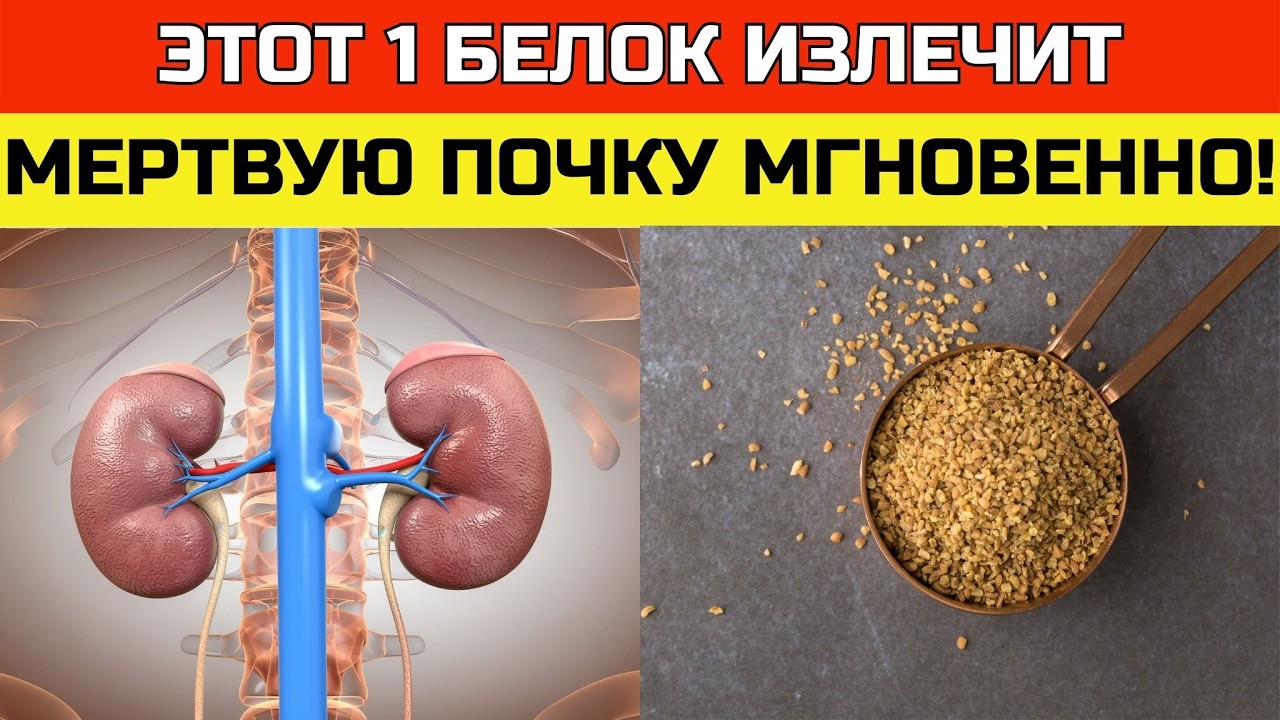 Какой белок убивает ваши почки? 4 безопасных варианта после 55 | ЗДОРОВЬЕ ПОСЛЕ 50