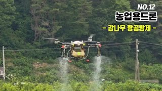 [🤴Ep.13] 감나무 항공방제 작업 완료!🚁🌿
