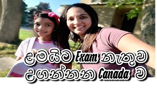 කැනඩාවේ අධ්‍යාපන පද්ධතිය හොදද ? | Primary Education in Canada for Kids|  Sri Lanka to Canada