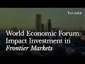 World economic forum navigating impact investment in frontier markets