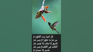 #سورة_الفلق #قران_كريم #عبدالباسط_عبدالصمد