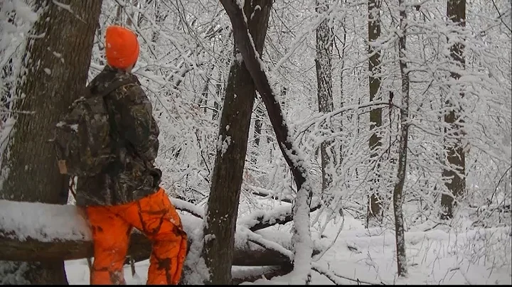 Snow Covered Squirrel Hunt