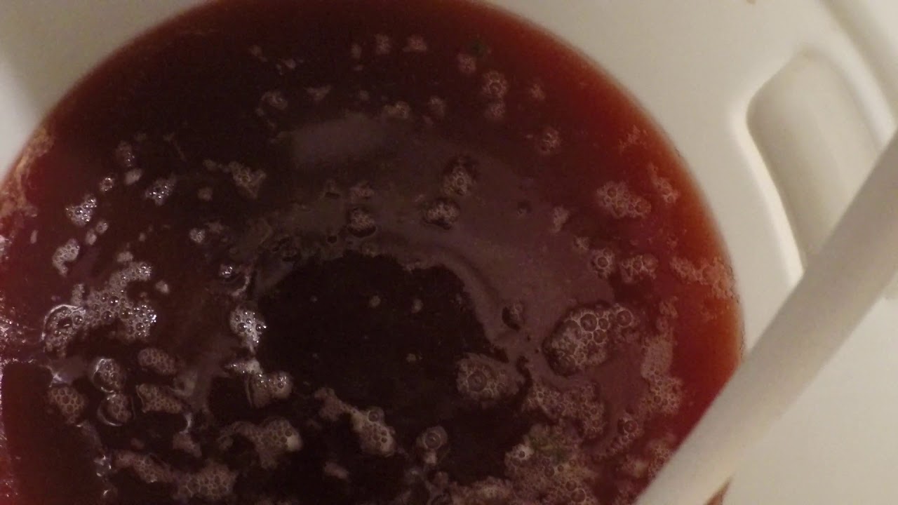 Homebrew Sour Kombucha Beer YouTube