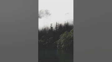 Thumbnail of Valse- Evgeny Grinko