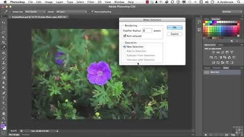 89 Adobe Photoshop CS6 Full Tutorial Converting Vector Paths To Raster Selections