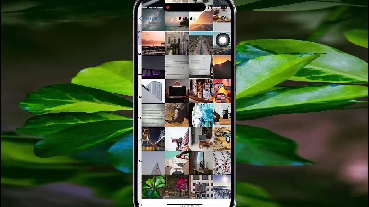 how-to-turn-on-or-off-chat-wallpaper-motion-in-whatsapp-in-iphone-14