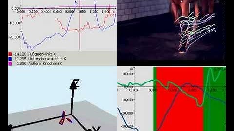 Horse Gait Analysis 3D with Simi Motion