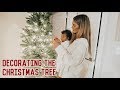 ANTHEM'S FIRST CHRISTMAS TREE🎄 | Paige Danielle