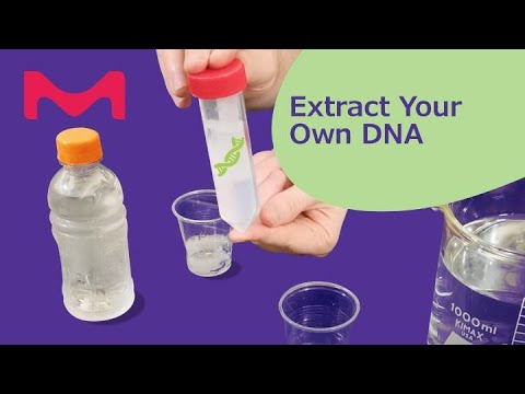 वीडियो: डीएलए को कब पिप करना है?