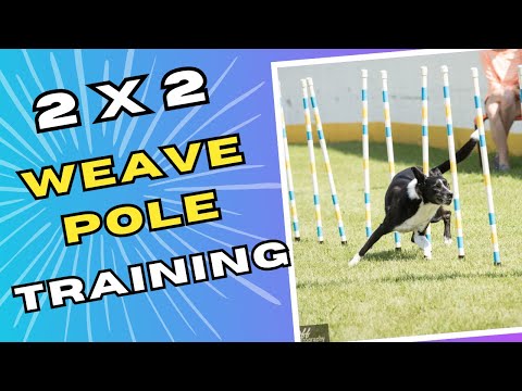 2x2 weave training