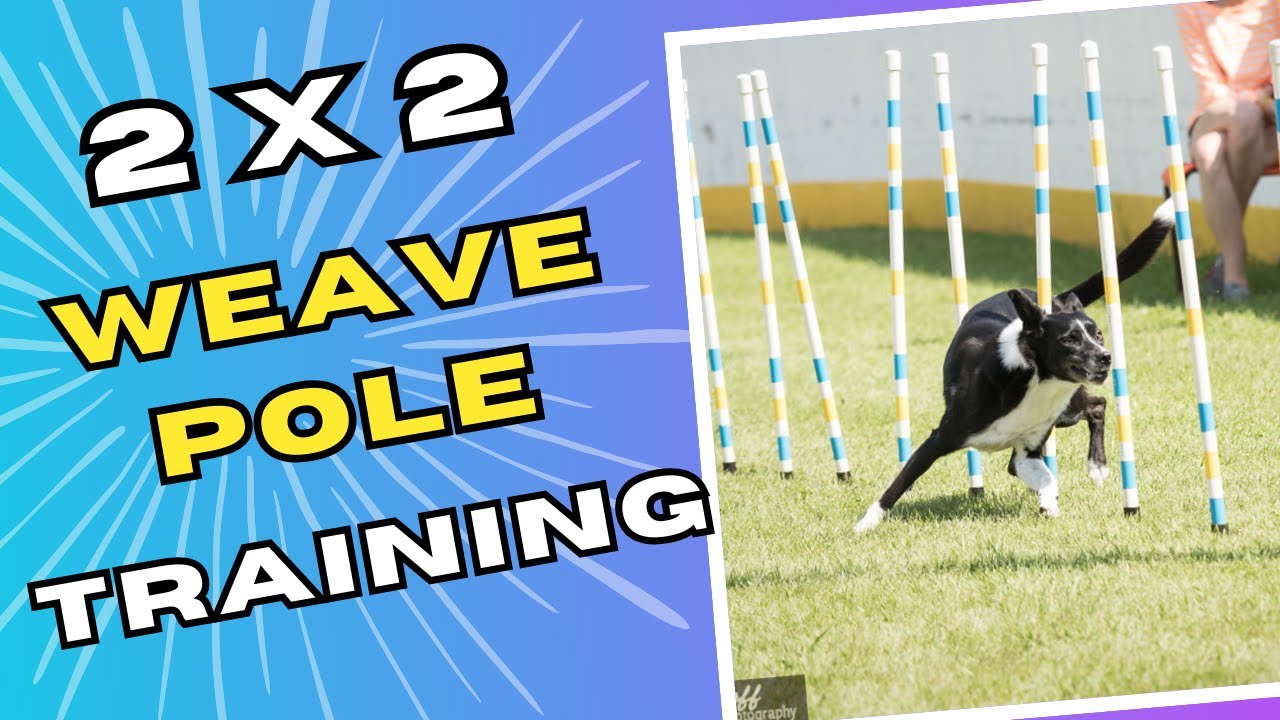 Mastering the Weave Poles: A Step-by-Step Guide for Beginners - part 3 (of 3)