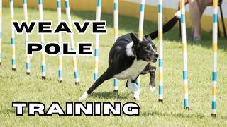 Weave Pole Training With the 2x2 Method: A Step-by-Step Guide - part 3 of 3