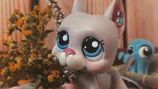 Download lagu Littlest Pet Shop BOKEH ぼけ Film Littlest Pet Shop BOKEH ぼけ Film