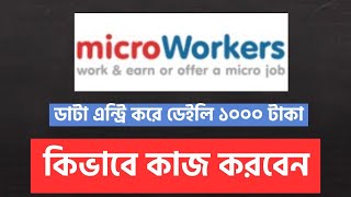 Micro Workers কিভাবে কাজ করবেন | How to complete data entry Jobs is Micro workers