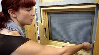 Celebrity Eagle Between-glass Blinds for Windows Profile