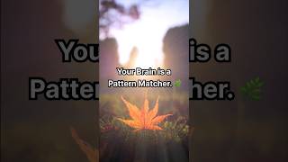 Nature’s Hidden Code: The Fractal Effect🍀 #NeuroAesthetics