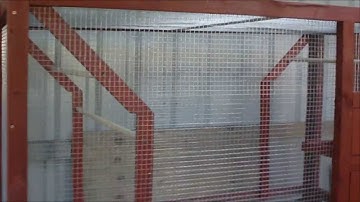 How to build a bird aviary