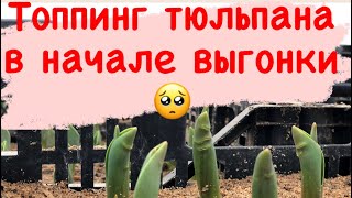 : !!!  ? 23.01.2022. .  .  .