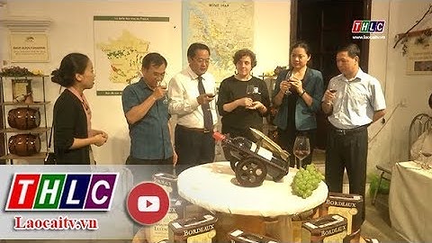 Ấn tượng Lễ hội Hoa hồng và rượu vang trên cao nguyên trắng Bắc Hà | THLC
