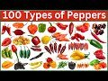 100 Types of peppers | Discover 100 Spicy & Colorful Varieties