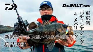 [Dz SALT 2ND]新釣法？で、大型メバルをキャッチ！東京湾バチコンアジング＆メバリング