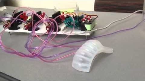 Soft robotics inchworm