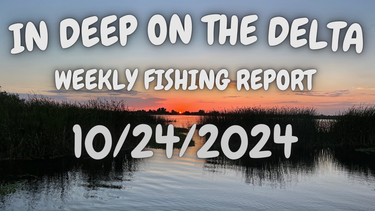 The In Deep On The Delta Weekly Fishing Report For 10/24/2024.