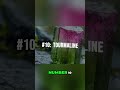 Emeralds &amp; Topaz: The Truth Behind Gemstone Mohs Scale #shorts