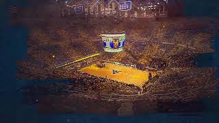 New Coliseum Court Design