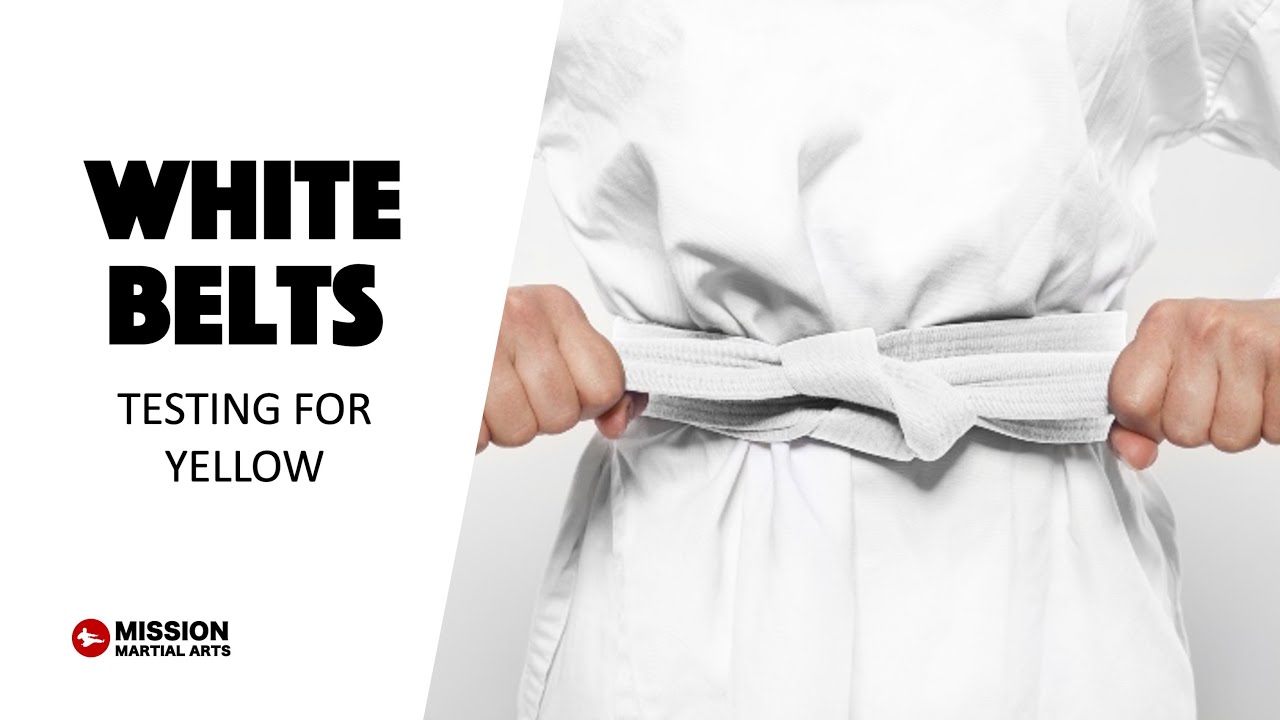 Rank Test | WHITE BELTS - YouTube