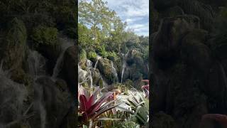 Valley of Mo’ara at Animal Kingdom 💙 #pandora #animalkingdom #navi #avatarworld #disneyworld