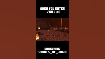 Minecraft When you type in command /kill E #minecraft #trending #viral #shorts #shortvideo