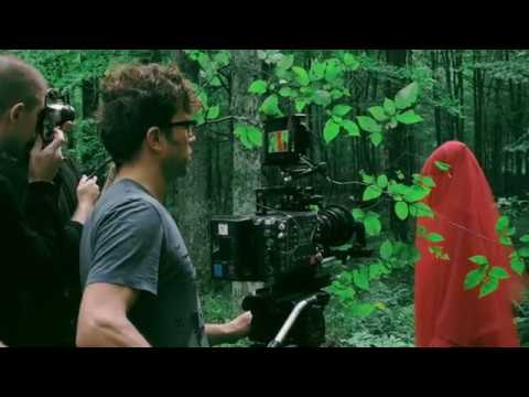 B.T.S. | Sterling Grove - Parallel Lines