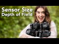 How depth of field changes with sensor size  camera comparison