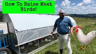How to Raise Chickens on Pasture