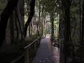 #Walking in to #bluemountain #australia 10 Jan 2025