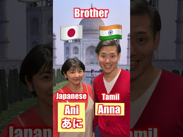 Japanese 🇯🇵 vs Tamil Indian 🇮🇳| Comparison class=